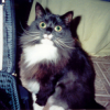Ratha's Avatar