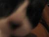 loveisuneven's Avatar