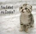 Click image for larger version

Name:	ate my cookie.jpg
Views:	150
Size:	33.0 KB
ID:	2028753