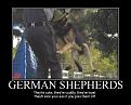 Click image for larger version

Name:	shepherd.jpg
Views:	430
Size:	85.7 KB
ID:	2028986