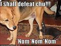 Click image for larger version

Name:	funny-pictures-cat-plans-to-defeat-dog.jpg
Views:	173
Size:	40.3 KB
ID:	2029133