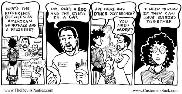 11/04/2007