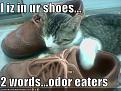 Click image for larger version

Name:	lolcats.jpg
Views:	178
Size:	34.9 KB
ID:	2028793