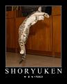 Click image for larger version

Name:	shoryuken.jpg
Views:	310
Size:	28.9 KB
ID:	2029046