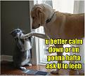 Click image for larger version

Name:	calmdown.jpg
Views:	330
Size:	42.0 KB
ID:	2032987