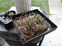 Click image for larger version

Name:	nest.jpg
Views:	224
Size:	118.1 KB
ID:	2033658